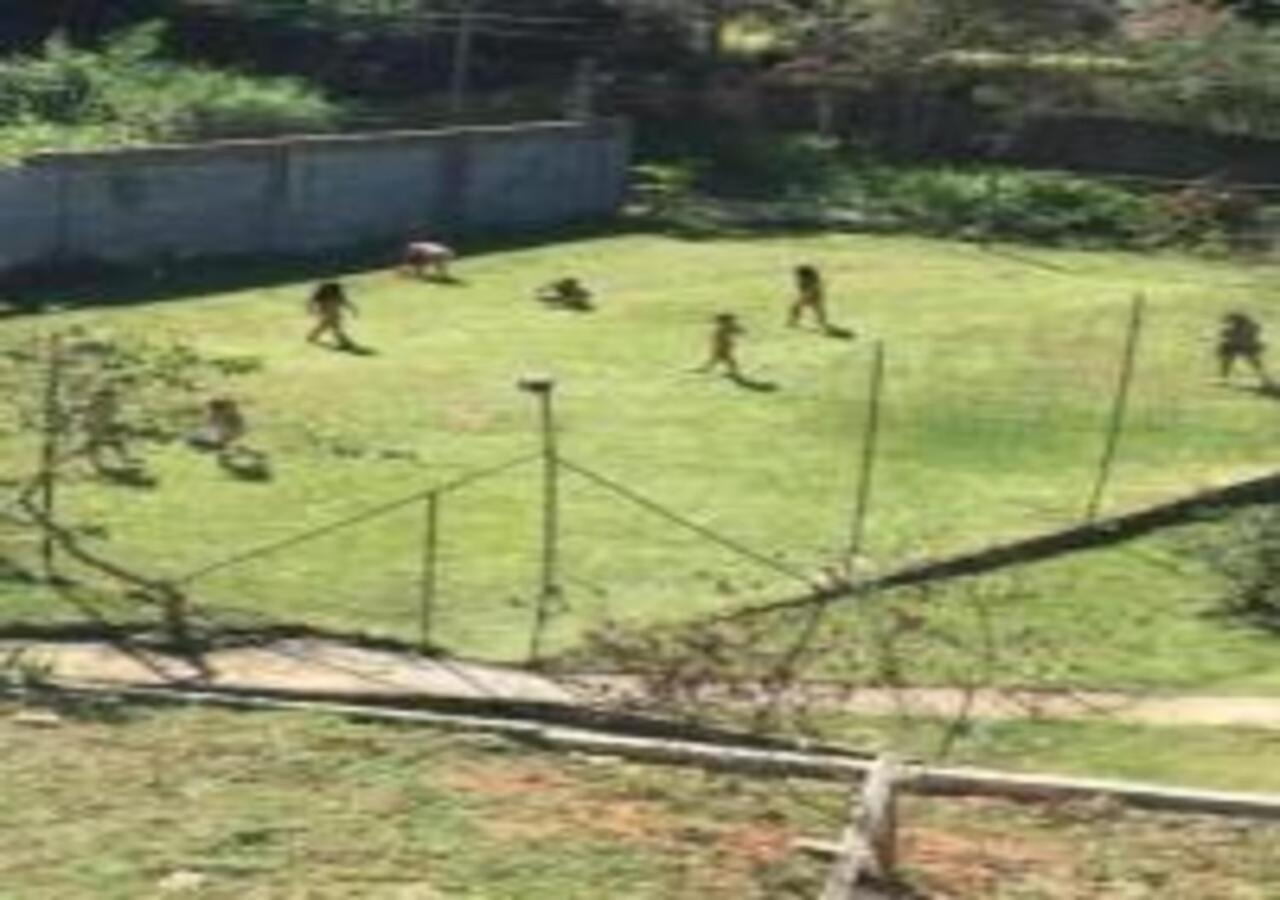 Casa Acolhedora Com Lazer E Espaco Gourmet Petrópolis Zewnętrze zdjęcie